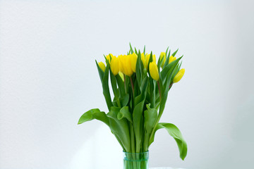 Yellow tulips on a white background. Spring poster with free text space.romance holiday Описание (на английском языке)87