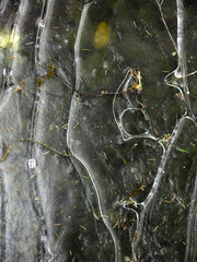 beautiful shaped ice with streaks in a frozen ditch