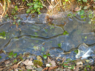 beautiful shaped ice with streaks in a frozen ditch