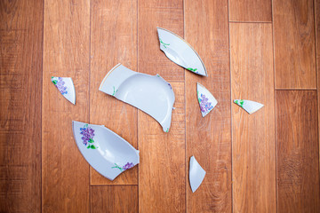 The plate fell to the floor and broke into small pieces. Shards of a chopped dish