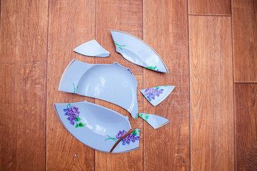 The plate fell to the floor and broke into small pieces. Shards of a chopped dish