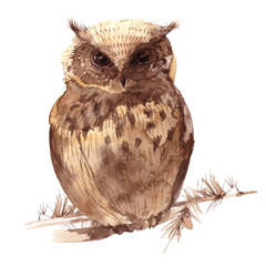 watercolor owl