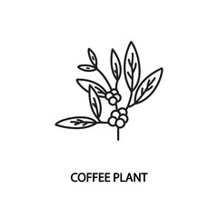 Coffee plant line flat vector icon. Concept for online store or web banners and printed materials. Editable strokes.