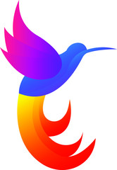pelican colorful design illustration vector template