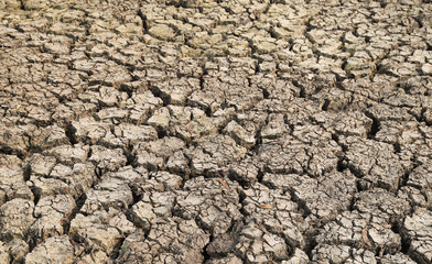 Scenery of cracked dry soil surface in sunny day of hot season.