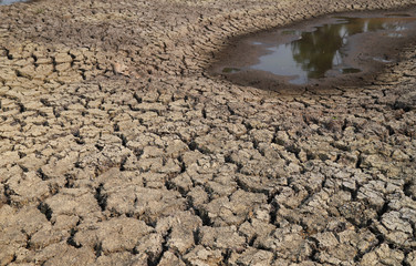 Scenery of cracked dry soil surface with pond  in sunny day of hot season. 