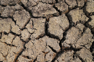 Closeup of cracked dry soil surface in sunny day of hot season.