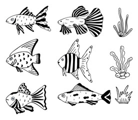 Set of hand drawn fish and seaweed isolated on a white background. Doodle, simple outline illustration.