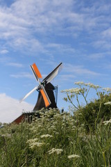 Fototapeta na wymiar View of traditional Dutch windmill with the flowers as clear foreground in spring at the Zaanse Schans, Zaandam, Netherlands