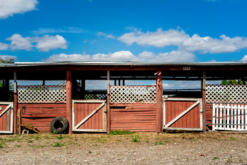 Obraz premium Sunny Day at the Barn