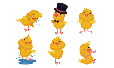 Cartoon Chicken Character Crying and Wearing Top Hat Vector Set