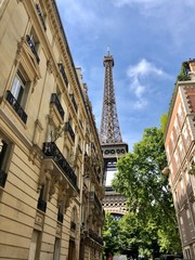 Fototapeta na wymiar tower in paris france