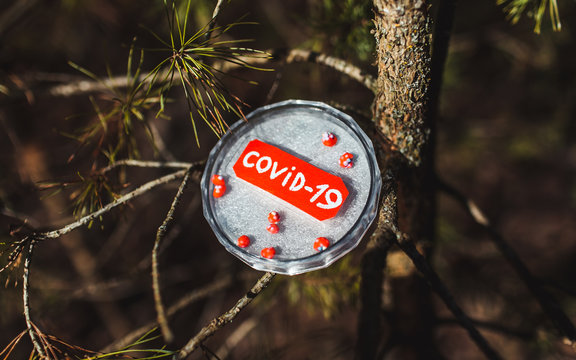 sample of coronavirus in vitro