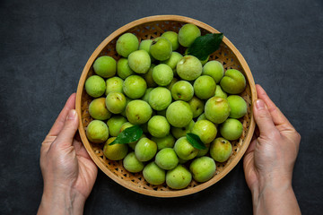 Freshly green plum on dark gray background.
