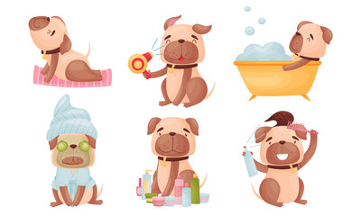 Cartoon Puppy Grooming Himself Taking Bath and Sitting with Facial Mask Vector Set