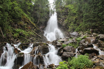 waterfall in forest