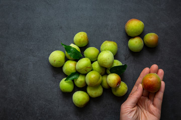 Freshly green plum on dark gray background.