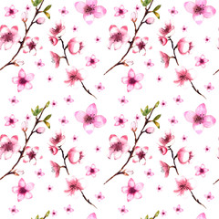 Watercolor illustration