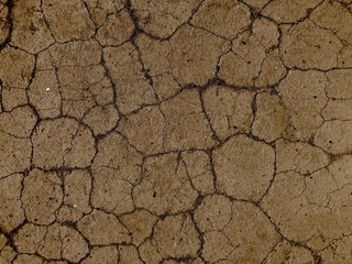 Cracked earth