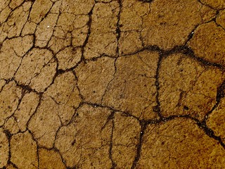 Cracked earth