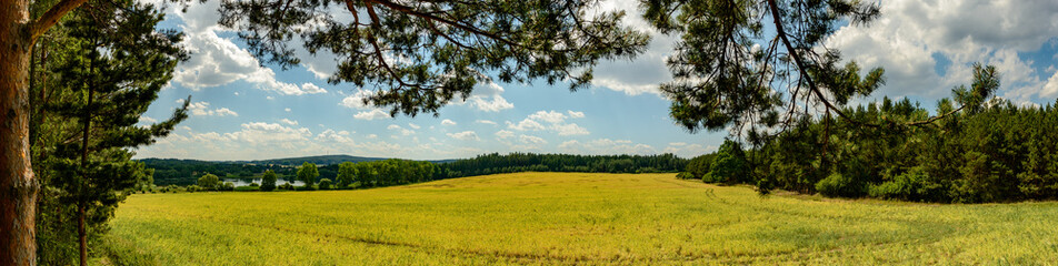 panorama view from below a tree in land with field, forests, pond and blue cloudy sky