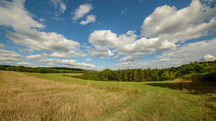 Fototapeta na wymiar land view in small valley with field, meadow, forest and blue cloudy sky