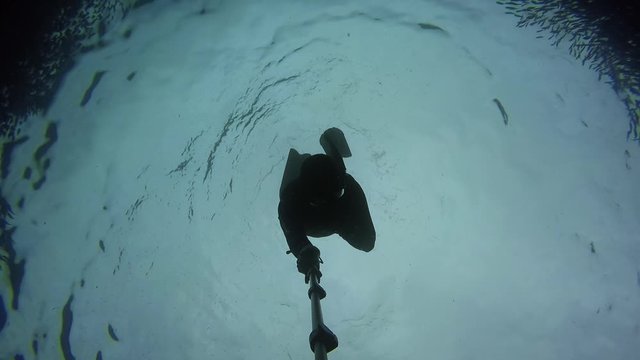Breath hold diving with a school of sardines in Panglao, Bohol, Philippines.