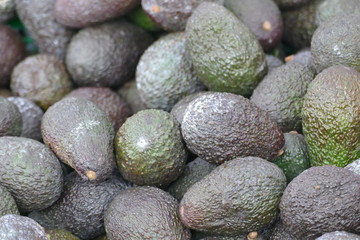 Fototapeta na wymiar Avocado / Avocados auf einem Haufen