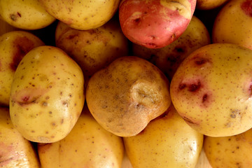 Ecological brown and red Potatoes