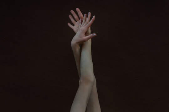 Sensuality And Aestheticism Of Women 's Hands And Fingers