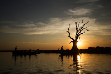 Dead trees with evening silhouettes at the lake.