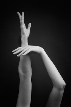 Sensuality And Aestheticism Of Women 's Hands And Fingers