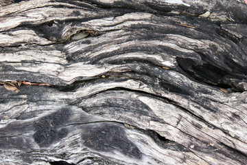 texture of rock