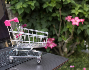 shopping cart with flowers