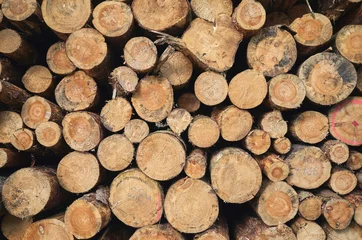 Möbelaufkleber Close up picture of stacked tree logs. © MaciejBledowski
