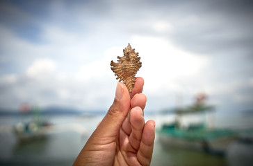 Womans hand holding seashell at beach of Port Barton, Palawan, Philippines