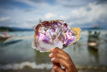 Hands holding seashell with beautiful Mother of Pearl at beach of Port Barton, Palawan, Philippines