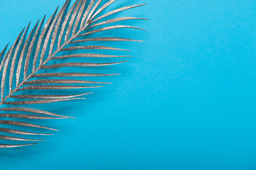Silver Green Palm Leaf On Blue Background