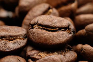 Detail studio photo of coffee beans.