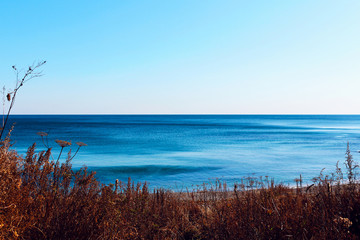 Fototapeta na wymiar Vibrant beautiful coast of sea of Japan . Ocean horizon. Nautical background