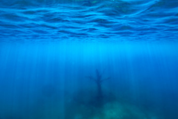 Fototapeta na wymiar Underwater of tropical reef with sea; sun rays passing through water.