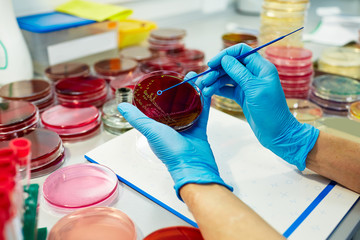 petri dish with red reagents in arm of medical chemist wearing protactive disposable gloves