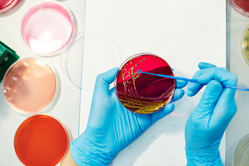 close-up of petri dish with red reagent in arm of doctor in blue disposable gloves