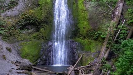 base of marymere falls in the olympic national park