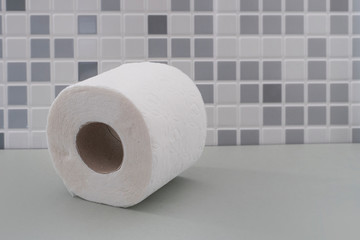 Roll of toilet paper with a texture in the bathroom