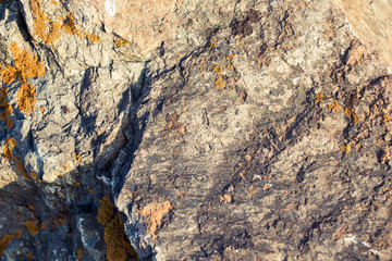 The texture stone. Natural background. Stone on a background of nature