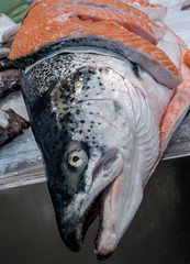 Freshly caught fish at the fish market in Cadiz, Andalucia, Spain