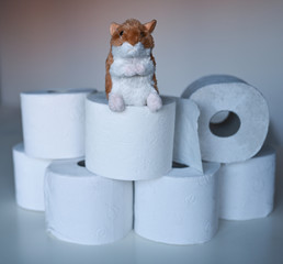 Hamsterkäufe mit Toilettenpapier