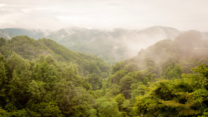 fog in the mountains