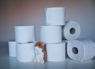 Hamsterkäufe mit Toilettenpapier